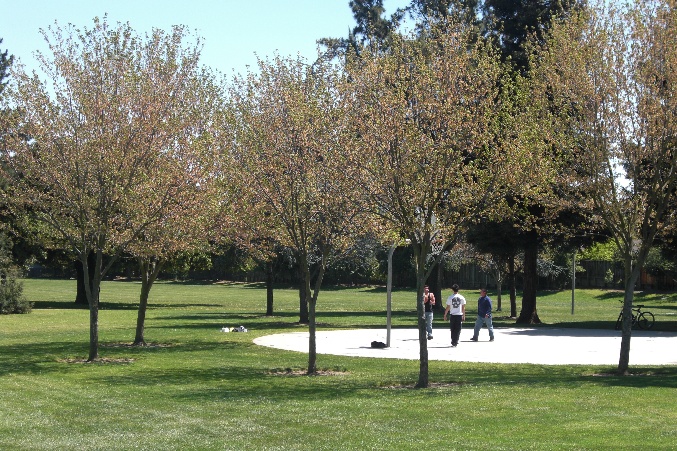 Jollyman Basketball Court