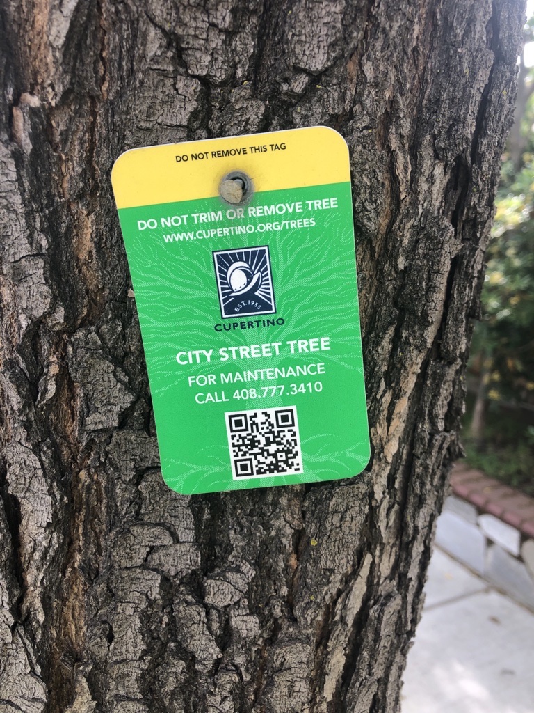 Tree Tag QR CODE