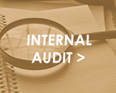 Internal.Audit_Block