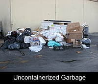 Uncontainerized Garbage