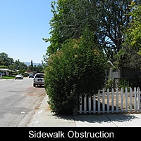 Sidewalk Obstruction