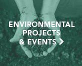 Environmental Projects & Events